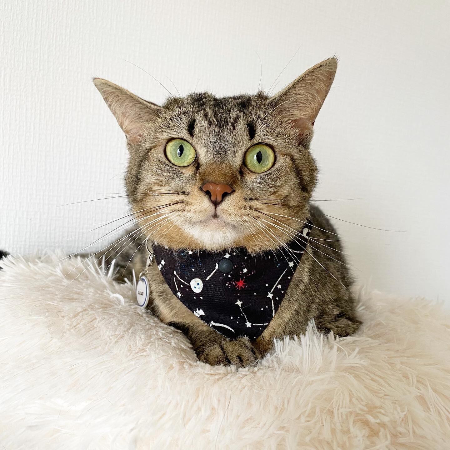 つけかえtie 三角バンダナ ギャラクシー 蓄光生地