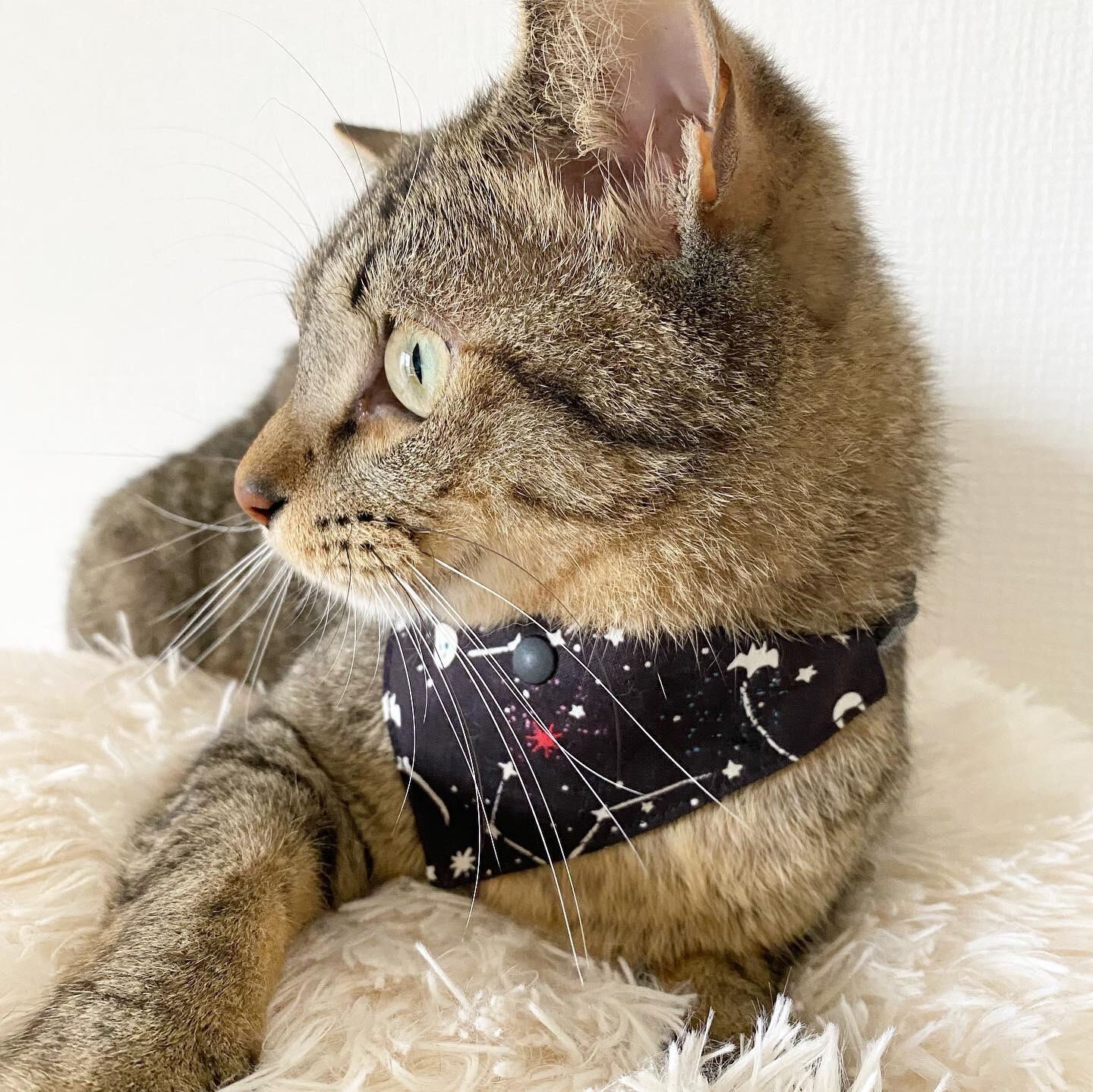 つけかえtie 三角バンダナ ギャラクシー 蓄光生地
