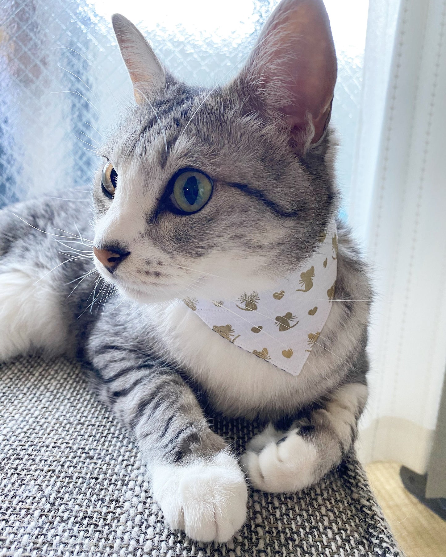 つけかえtie 三角バンダナ ねずみ