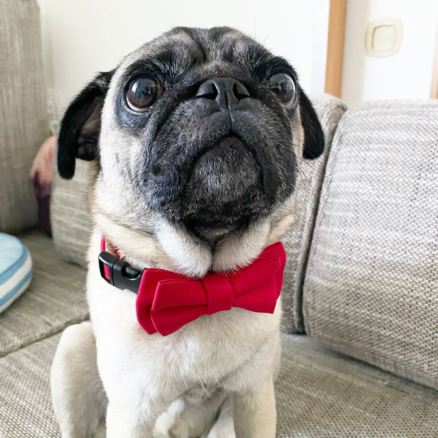 ぼんぼん蝶ネクタイ チェック カーキ Mサイズ